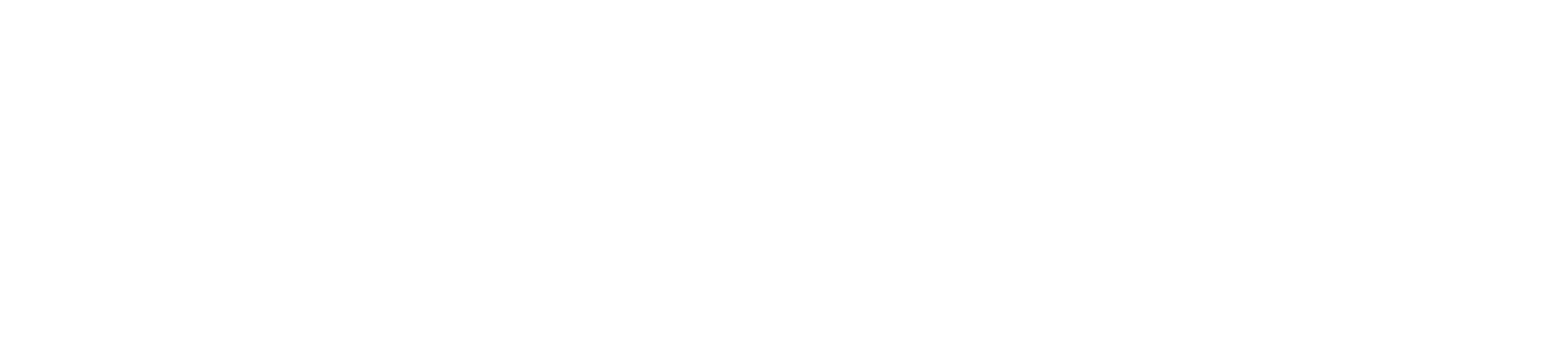 BLS LOGISTICS